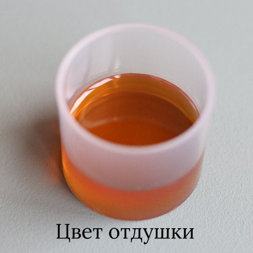 4088_17.jpg