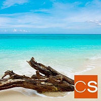 Отдушка Карибское тиковое дерево (США)