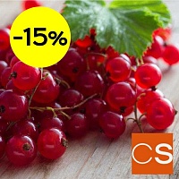 Отдушка Смородинка (США)