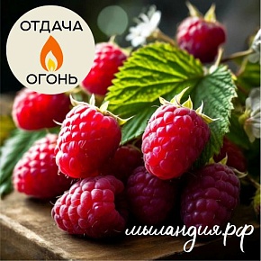 Отдушка Малина (США)