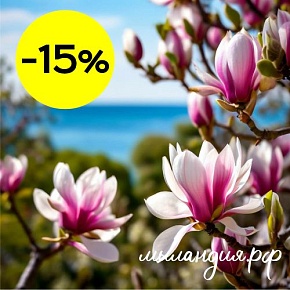 Отдушка Магнолия (США)