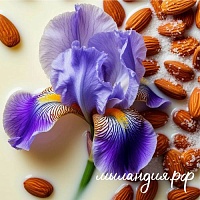 Отдушка Ирис, хлопок и миндаль (026)