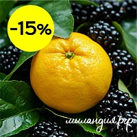 Отдушка Юзу и ежевика (США)