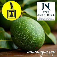 Отдушка для диффузоров Грин манго (Франция)