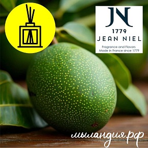 Отдушка для диффузоров Грин манго (Франция)