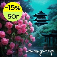 Отдушка Китайский дождь (США)