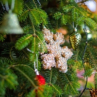 Отдушка Новогодняя ёлка (США)