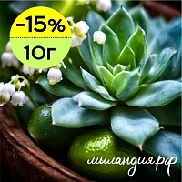 Отдушка Голубой кактус (США)