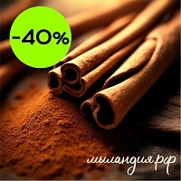 Отдушка для свечей Пряная корица (США)