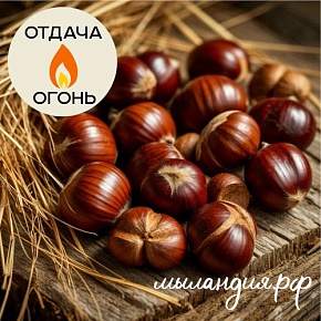 Отдушка Каштаны и ветивер (028)