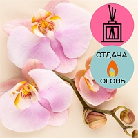 Отдушка Орхидея и кашемир (Латвия)