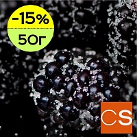 Отдушка Полуночная ежевика (США)