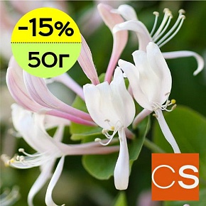 Отдушка Жимолость и жасмин (США)