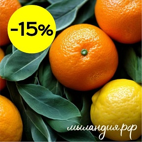 Отдушка Цитрусы и шалфей (США)