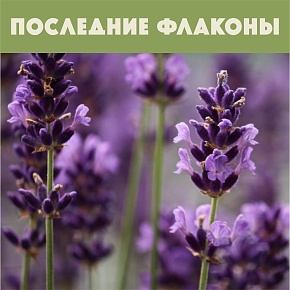 Отдушка Лаванда в цвету (США)