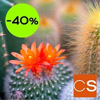 Отдушка Цветок кактуса и нефрит (США)