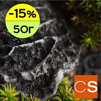 Отдушка Чёрный коралл и мох (США)