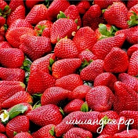 Отдушка Клубничная грядка (США)