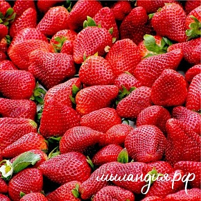 Отдушка Клубничная грядка (США)