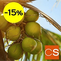 Отдушка Солнечный кокос (США)