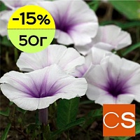 Отдушка Нектар лунного цветка (США)