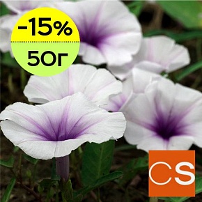 Отдушка Нектар лунного цветка (США)