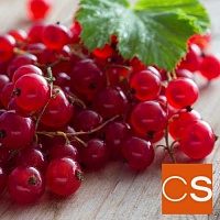 Отдушка Смородинка (США)