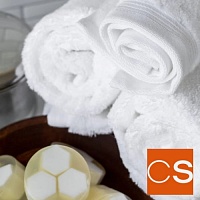 Отдушка Свежий лён (нейтрализатор запахов) (США)