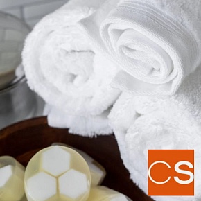 Отдушка Свежий лён (нейтрализатор запахов) (США)