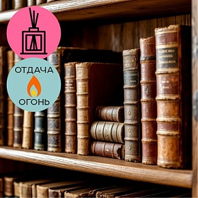 Отдушка Винтажная библиотека (029) (по мотивам Byredo - 1996)