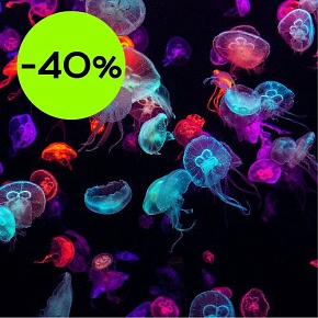 Отдушка Ягодные медузы (США)