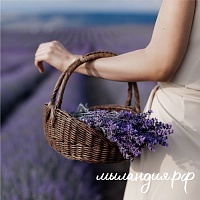 Отдушка Лаванда французская (США)