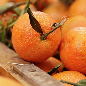 Отдушка по мотивам Zielinski & Rozen - Апельсин, жасмин и ваниль (Евросоюз)