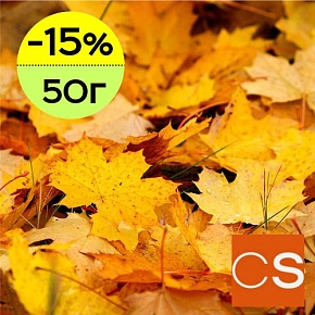 Отдушка Осенние листья (США)