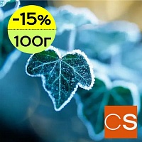 Отдушка Арктический плющ (США)