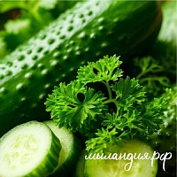 Отдушка Огурец, васаби и кинза (США)