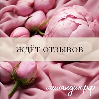 Отдушка Замша и пион (США)